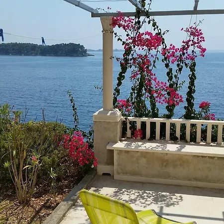 Bilos Guest house 3*