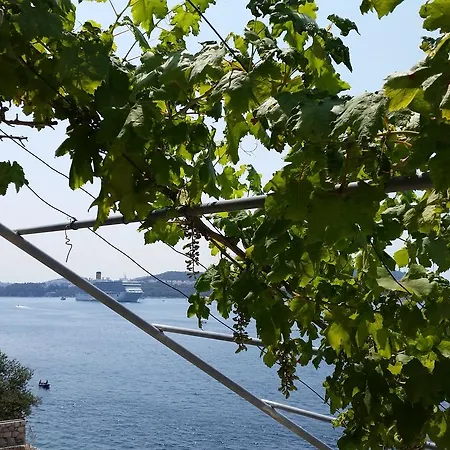 Guest house Bilos Dubrovnik