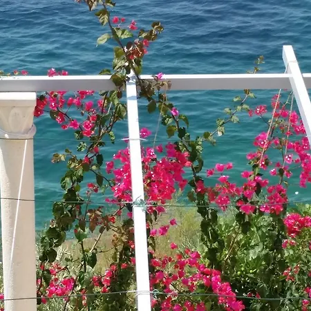 Bilos Dubrovnik